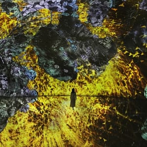 TeamLab Phenomena + Yas Waterworld – Combo – Recently Added Experiences Lizp.com Special Offers, Deals & Discounts in USA