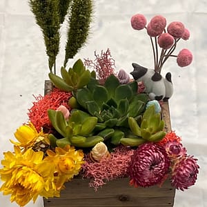 Succulent Treasure Box Workshop at Luludi Living Art, San Francisco, United States Lizp.com Special Offers, Deals & Discounts in USA
