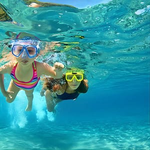 Snorkeling and Dolphin Watching Experience in Destin at 189 Brooks St SE, Destin, United States Lizp.com Special Offers, Deals & Discounts in USA