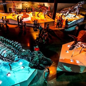 Houston Kid’s Choice: Museum Pass at Third Party Passes Houston, Houston, United States Lizp.com Special Offers, Deals & Discounts in USA
