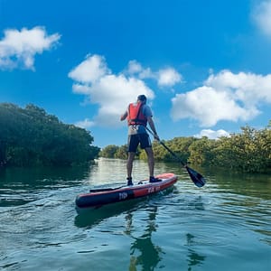 Mangroves paddleboarding at Purple Island – Qool Qatar – Must-see attractions Lizp.com Special Offers, Deals & Discounts in USA