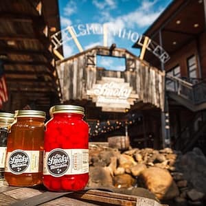 Nashville: Soul of Music City Night Tour at Ole Smoky Moonshine, Nashville, United States Lizp.com Special Offers, Deals & Discounts in USA