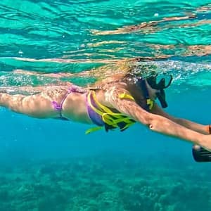 Jet Snorkel Tour in West Palm Beach at 902 Blue Heron Blvd, West Palm Beach, United States Lizp.com Special Offers, Deals & Discounts in USA