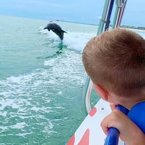Dolphin-Watching Speedboat Cruise in Destin Harbor at 316 Harbor Blvd, Destin, United States Lizp.com Special Offers, Deals & Discounts in USA