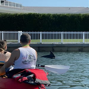Kayak Eco Tour in Don Pedro Island at 8450 Placida Rd, Fort Myers, United States Lizp.com Special Offers, Deals & Discounts in USA