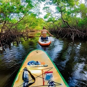 Fort Lauderdale Bonnet House Ground and Guided Paddle Board Kayak at 900 N Birch Rd, Fort Lauderdale, United States Lizp.com Special Offers, Deals & Discounts in USA