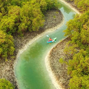 Guided Kayak Tour in the Reem Central Park Mangroves – Water Sports Lizp.com Special Offers, Deals & Discounts in USA