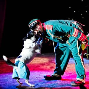 V Theater Las Vegas: Popovich Comedy Pet Theater at V Theater, Las Vegas, United States Lizp.com Special Offers, Deals & Discounts in USA