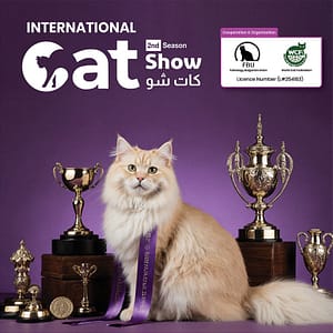 Cat Show in Riyadh – Exhibitions Lizp.com Special Offers, Deals & Discounts in USA
