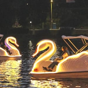 Los Angeles: Swan Boats Rental at Echo Park Lake, Los Angeles, United States Lizp.com Special Offers, Deals & Discounts in USA