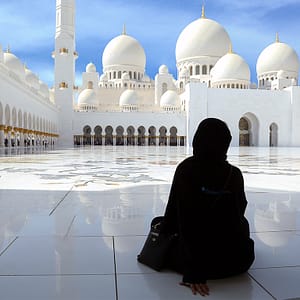 Abu Dhabi Private City Tour from Dubai with Transfers – Sightseeing and Tours Lizp.com Special Offers, Deals & Discounts in USA