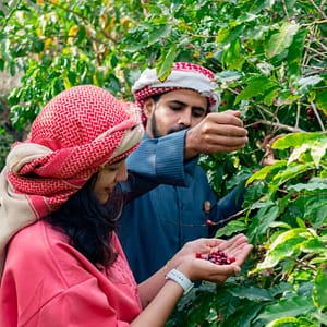 Hike with a local coffee farmer – Recently Added Experiences Lizp.com Special Offers, Deals & Discounts in USA