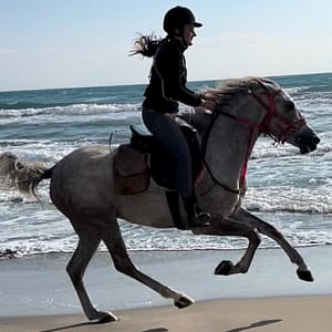 Horse Riding at Shahaniya –  Qool Qatar – Must-see attractions Lizp.com Special Offers, Deals & Discounts in USA