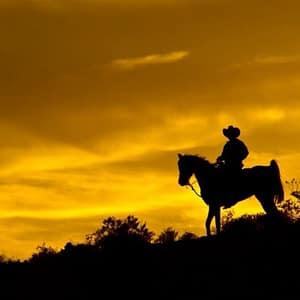 Wild Wild West Sunset Horseback Ride + Dinner at Moapa Private Ranch, Las Vegas, United States Lizp.com Special Offers, Deals & Discounts in USA