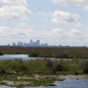 Self Guided Kayak Bayou Swamp Tour at 6301 Paris Rd, New Orleans, United States Lizp.com Special Offers, Deals & Discounts in USA
