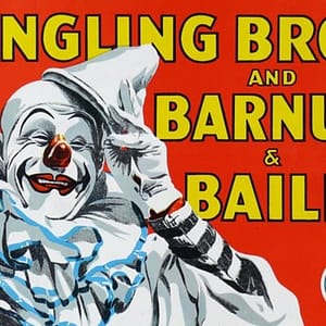 Circus Secrets of Sarasota at 1826 4th St, Sarasota, United States Lizp.com Special Offers, Deals & Discounts in USA
