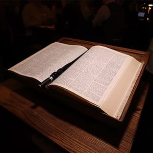 Wizards and Wands Experience: Magical Mixology – San Diego at Slater’s 50/50, San Diego, United States Lizp.com Special Offers, Deals & Discounts in USA