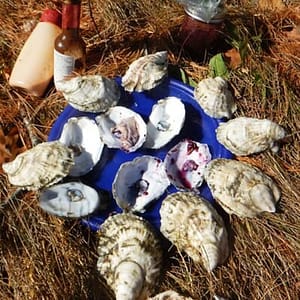 Oyster Farm & Complimentary Tasting Sea Kayak Tour in Casco Bay at 1161 Mere Point Rd, Portland, United States Lizp.com Special Offers, Deals & Discounts in USA
