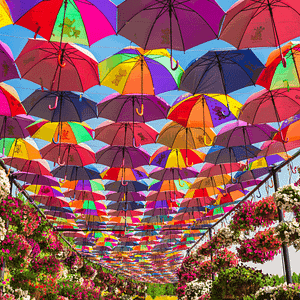 Dubai Miracle Garden – Gardens & parks Lizp.com Special Offers, Deals & Discounts in USA