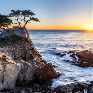 Monterey, Carmel and 17-Mile Drive: Full Day Tour from SF at 2805 Leavenworth St, San Francisco, United States Lizp.com Special Offers, Deals & Discounts in USA