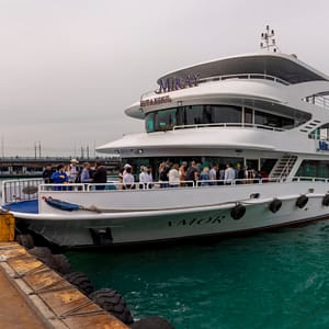 Bosphorus Cruise with Open Buffet Lunch – Boat Tours and Cruises Lizp.com Special Offers, Deals & Discounts in USA