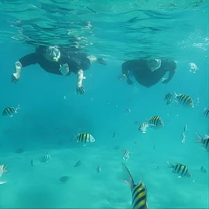 Luxury Snorkeling on Your Vacation Exclusively Private Guaranteed at 900 Blue Heron Blvd, West Palm Beach, United States Lizp.com Special Offers, Deals & Discounts in USA