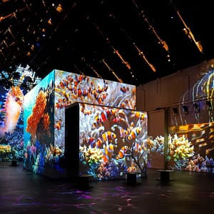 Fabrique des Lumières: The Sea – Recently Added Experiences Lizp.com Special Offers, Deals & Discounts in USA