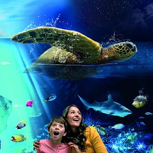 SEA LIFE Brighton – Recently Added Experiences Lizp.com Special Offers, Deals & Discounts in USA