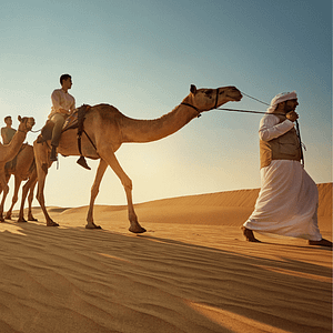 Camel Trekking Experience In Abu Dhabi With Transfers In Land Cruiser – Top-Rated Attractions Lizp.com Special Offers, Deals & Discounts in USA