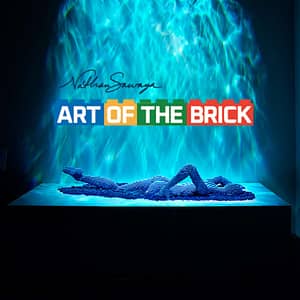 The Art of the Brick: An Exhibition of LEGO® Art at Rhode Island Center, Washington DC, United States Lizp.com Special Offers, Deals & Discounts in USA