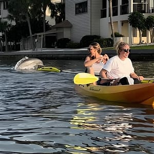 Sunset Kayak Experience with Dolphin Sightseeing at 12378 Manatee Ave W, Sarasota, United States Lizp.com Special Offers, Deals & Discounts in USA