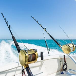 Trolling in Ocean for Big Fish – Top-Rated Attractions Lizp.com Special Offers, Deals & Discounts in USA