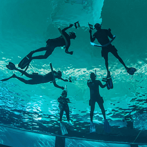 Deep Dive Dubai Surface Snorkeling Experience – Water Sports Lizp.com Special Offers, Deals & Discounts in USA