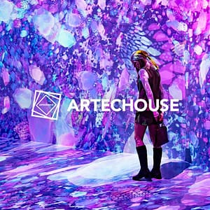 ARTECHOUSE Presents: Blooming Wonders at ARTECHOUSE Houston, Houston, United States Lizp.com Special Offers, Deals & Discounts in USA