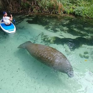Nature & Island Exploration on SUP/Kayak at 5215 NE 7th Ave, Miami, United States Lizp.com Special Offers, Deals & Discounts in USA