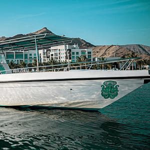 Private group Boating Experience with Snorkeling and Coastal Experience – Sightseeing and Tours Lizp.com Special Offers, Deals & Discounts in USA