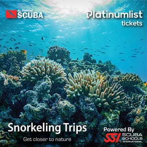Snorkeling Daily Trips in Jeddah – Attractions Special Offers Lizp.com Special Offers, Deals & Discounts in USA