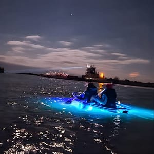 Glowing Kayak Tour Rockport – Little Bay (Family Night) at 1522 E Laurel St, Corpus Christi, United States Lizp.com Special Offers, Deals & Discounts in USA