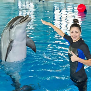 Swimming With Dolphins – Dubai Dolphinarium – Dubai Dolphinarium Lizp.com Special Offers, Deals & Discounts in USA