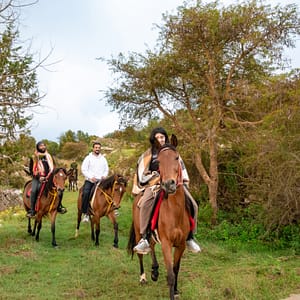 Horse Riding Experience – Recently Added Experiences Lizp.com Special Offers, Deals & Discounts in USA