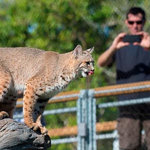Skip the Line: Zoo Miami Ticket at Zoo Miami, Miami, United States Lizp.com Special Offers, Deals & Discounts in USA