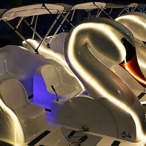 Long Beach Swan Boat Rental at Rainbow Lagoon at 200 S Pine Ave, Los Angeles, United States Lizp.com Special Offers, Deals & Discounts in USA
