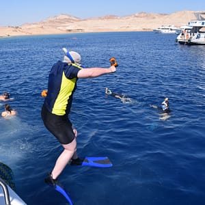 Half-day Snorkeling Boat trip with lunch and drinks from Sharm El Sheikh – Sightseeing and Tours Lizp.com Special Offers, Deals & Discounts in USA