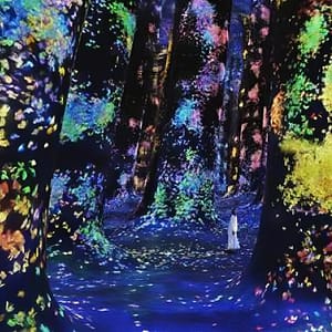 TeamLab Phenomena Abu Dhabi – Museums Lizp.com Special Offers, Deals & Discounts in USA