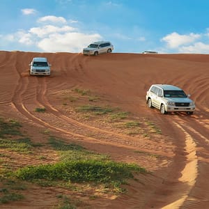 Desert Safari in RAK: Dune Bashing, Sand Boarding and a Camel Ride – Desert safaris Lizp.com Special Offers, Deals & Discounts in USA