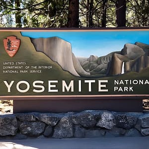 Yosemite National Park: Full Day Tour from San Francisco at 2805 Leavenworth St, San Francisco, United States Lizp.com Special Offers, Deals & Discounts in USA