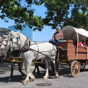 Old Sacramento: A Self-Guided Audio Tour at 1 Capitol Mall, Sacramento, United States Lizp.com Special Offers, Deals & Discounts in USA
