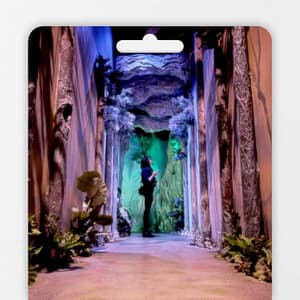 Shiki Dreams: An Immersive Art Experience – Gift Card at Colorado Mills Mall, Denver, United States Lizp.com Special Offers, Deals & Discounts in USA