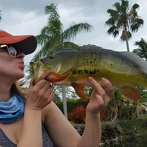 Peacock Bass Fishing Trip in Boynton Beach at Center Drive, West Palm Beach, United States Lizp.com Special Offers, Deals & Discounts in USA