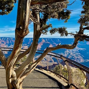 Grand Canyon National Park: Day Trip from Las Vegas with Lunch at Grand Canyon Day Trips from Las Vegas, Las Vegas, United States Lizp.com Special Offers, Deals & Discounts in USA